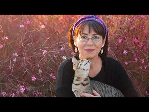 İlkay Akkaya - En Sevilen Şarkılar (Top 10)