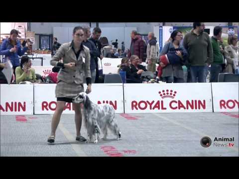 Bastia Umbra 2015 - Gruppo 7