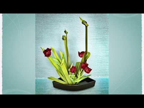 Play Video Youtube Video