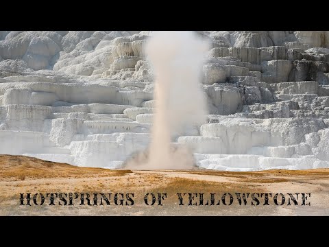 Geysers and Hot Springs of Yellowstone