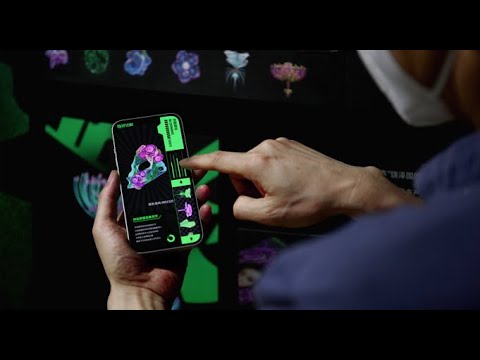 The Story of RAOZE PLAN