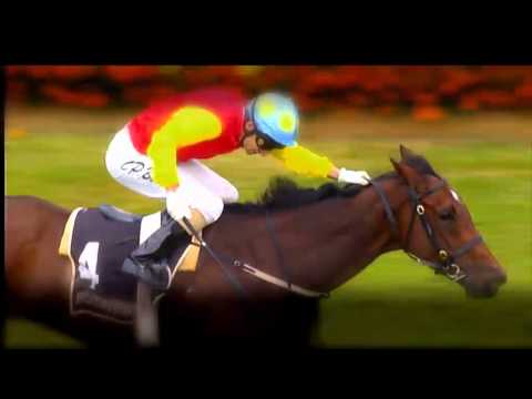 NZ OAKS TEASER