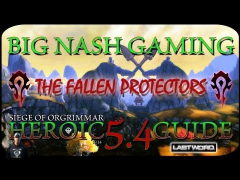 Heroic Fallen Protectors Raid Guide
