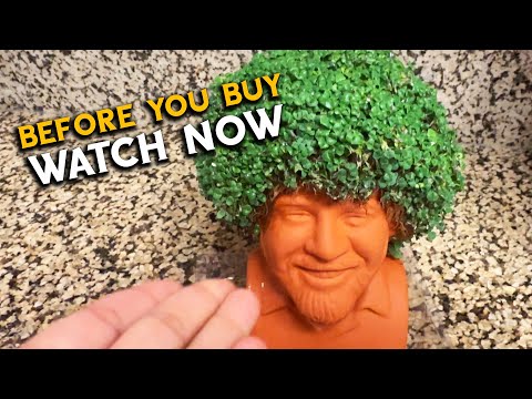 Chia Pet's Growing Tutorial for Bob Ross Instructions to Grow from Seeds onto Planter Review