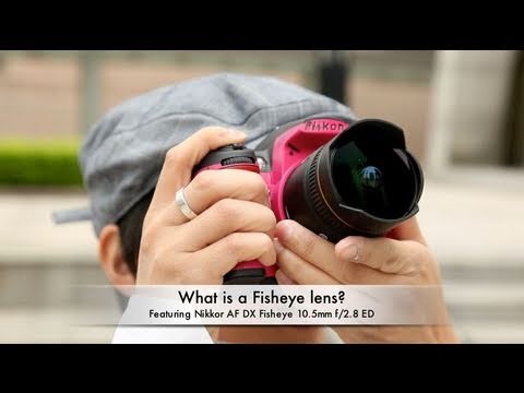 Video thumbnail for Video Review 2