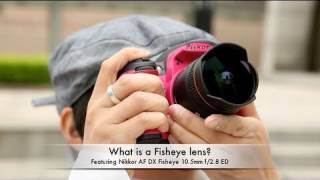 WhatisaFisheyelens?feat.NikkorAFDXFisheye10.5mmf/2.8ED