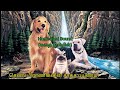 செல்ல பிராணிகலின் சாகச பயணம் HomeWard Bound Tamil 