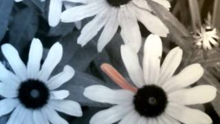 Easy Grayscale Coloring