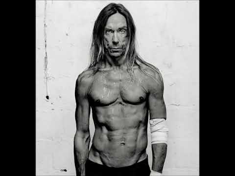 Iggy Pop - Punkrocker (2007)