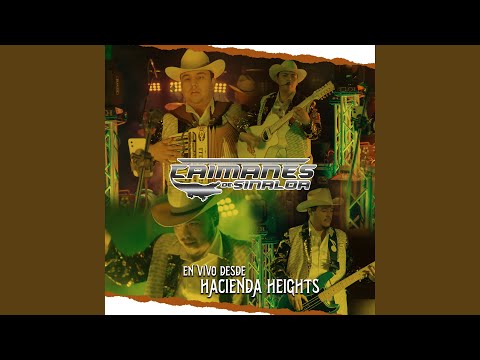 Popurri De Cumbias (En Vivo)