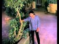 Log Jahan Par Rahte Hain Sad Pyar Ka Mandir Mithun