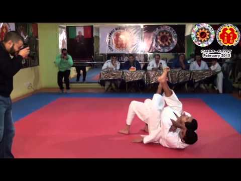 Aikijujutsu Egypt