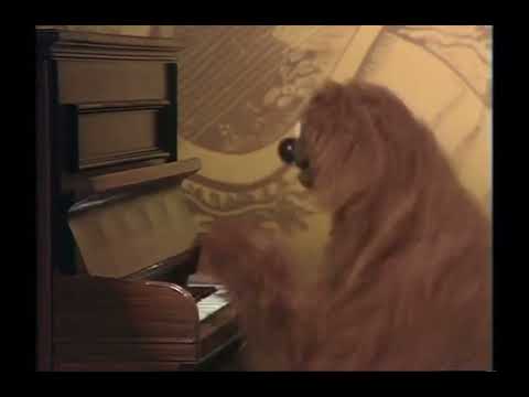 The Muppet Show - 104: Ruth Buzzi - UK Spot: “I’ve Never Harmed An Onion” (1976)