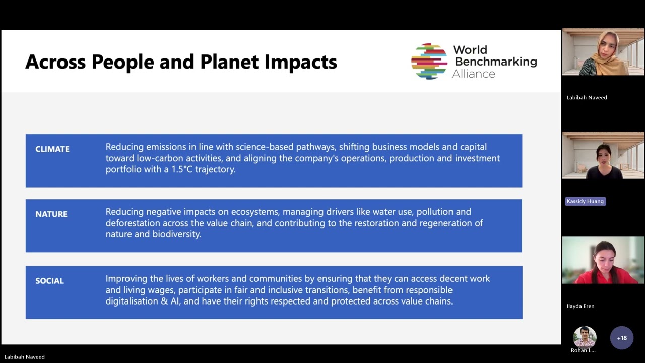 Integrated Transition Assessment: Stakeholder consultation on Responsible AI