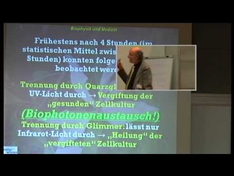 2/3:Mag.Ölwin H.Pichler:Energie+Information f.Selbstregulation,Heilung im menschlichen Organismus