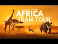 Africa Tram Tour San Diego Safari Park Ultimate Adventure 4K POV
