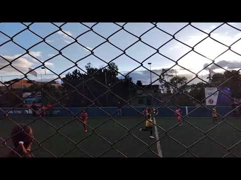 O gol que o Pelé não feis pietrinhokz  Tourossal base sub-8 ferraz