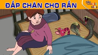 ĐẮP CHĂN CHO RẮN - Truyện cổ tích - Phim hoạt hình - Quà tặng cuộc sống