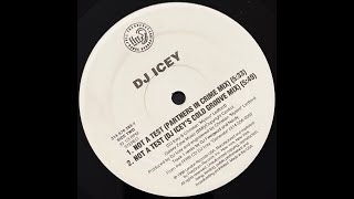 DJ Icey - Not A Test (DJ Icey's Cold Groove Mix)