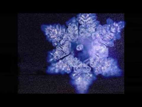 Spanish Guitar/ Fadi Dawoudi / Tango St....