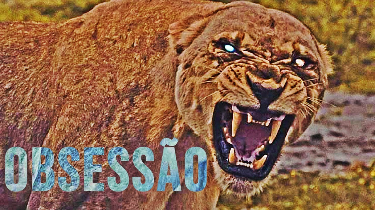 Você é capaz, tenha autoconfiança.