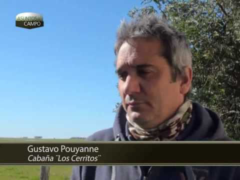 24º Prog. de TV Asuntos de Campo