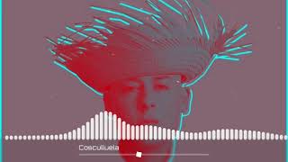 Cosculluela - Sigo Rico