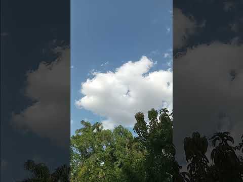 ice cream truck asmr beethoven bagatelle 25 A. fur elise