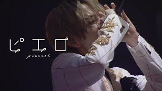 【LIVE映像】ピエロ/うらたぬき【歌ってみた】