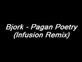 Bjork - Pagan Poetry ( Infusion Remix ) 