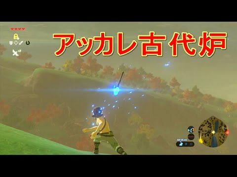 ペロネウム・ルフィセプス