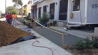 Caution When Planting Pokey Plants Near Pedestrian Areas