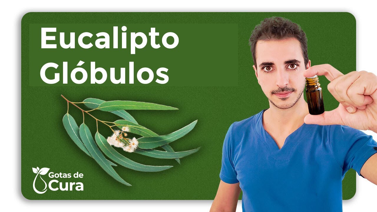 ÓLEO ESSENCIAL DE EUCALIPTO (RINITE, SINUSITE, ALERGIAS)