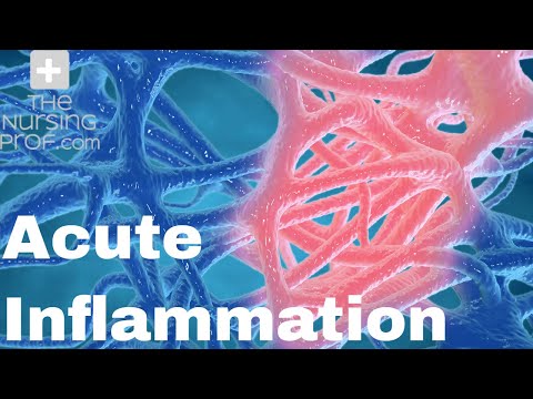 Acute Inflammation: The First Line of Defense.