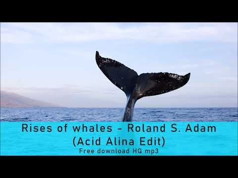 Rises of whales (Acid Alina Edit) - Roland S  Adam / www.der-adam.de