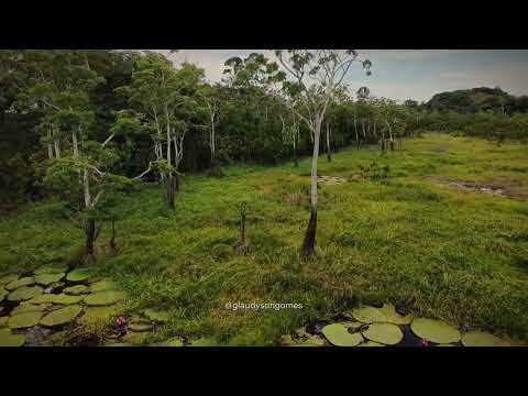 Bvr/Am#fyp #drone #amazonas #boavistadoramos