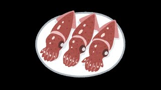 【スプラトゥーン2】30代のハイカスロマン（ガチマ振り返り用） #20