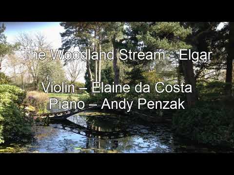 The Woodland Stream - Elgar