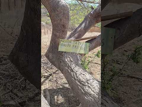 📍 Serra do Machão – Irauçuba