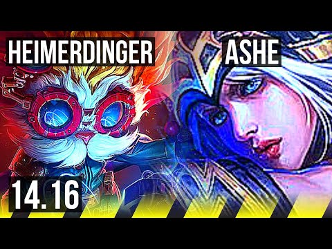 HEIMERDINGER & Blitzcrank vs ASHE & Rakan (ADC) | 8/1/6, 600+ games | EUW Master | 14.16