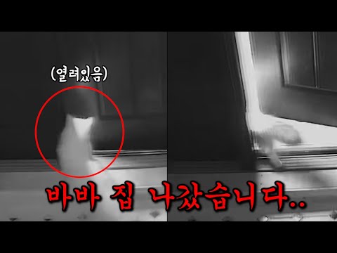 아이콘
