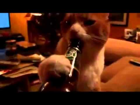 Weekend Jumpoff with DJ Perry