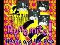 HONEY AND THE BEES ~ MAKE YOU MINE 