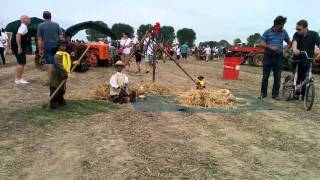 preview picture of video 'Fiera Agricola Trecasali 2014'