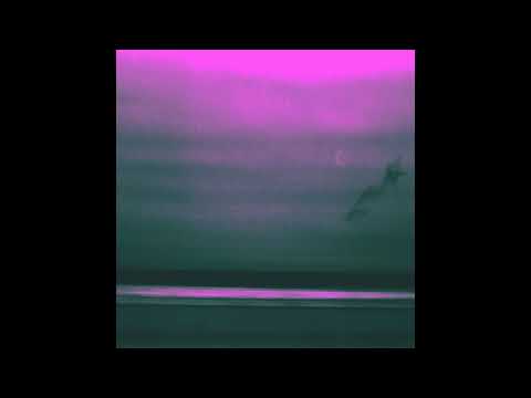 EnSecreto - Perro Siberiano