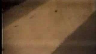 Welcome the Real World - music video