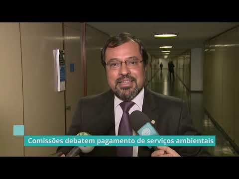 Deputado comenta sobre pagamento de serviços ambientais - 08/08/19