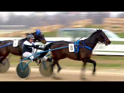 2022.12.31. 03. futam - HIPPODROM ÉS LOVARDA - ZENTHE FERENC EMLÉKVERSENY HENDIKEP