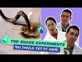 Science Explained - Spiraling And Sugar Snake Edition I Expulsion Science