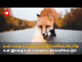 பாதை Motivational Status Tamil Life Motivational Status Tamil